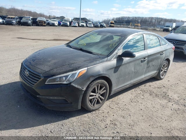 2016 Hyundai Sonata მანქანა იყიდება აუქციონზე, vin: 5NPE24AF5GH266475, აუქციონის ნომერი: 12596089