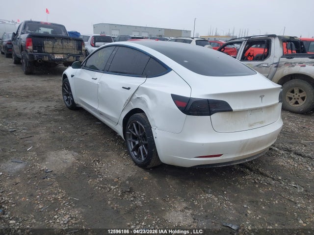 Tesla Model 3 Standard Range/standard Range Plus 2021 5YJ3E1EA5MF843401 Image 3