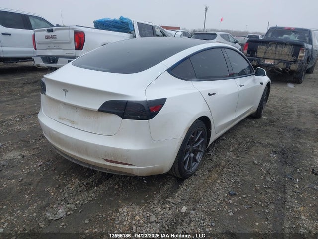 Tesla Model 3 Standard Range/standard Range Plus 2021 5YJ3E1EA5MF843401 Image 4
