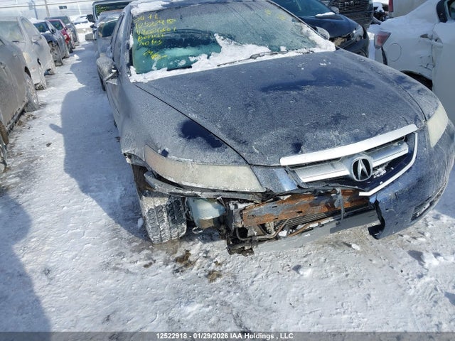 12522918 :رقم المزاد ، 19UUA66244A802661 vin ، 2004 Acura Tl مزاد بيع