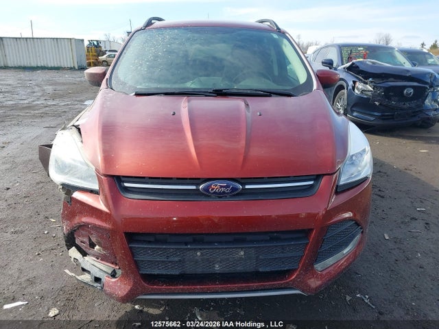 Продаж на аукціоні авто 2014 Ford Escape Se, vin: 1FMCU0GX0EUB82802, номер лоту: 12575662