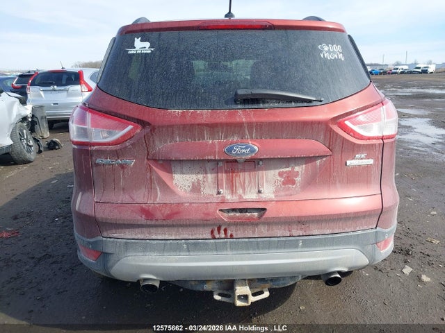 Продаж на аукціоні авто 2014 Ford Escape Se, vin: 1FMCU0GX0EUB82802, номер лоту: 12575662