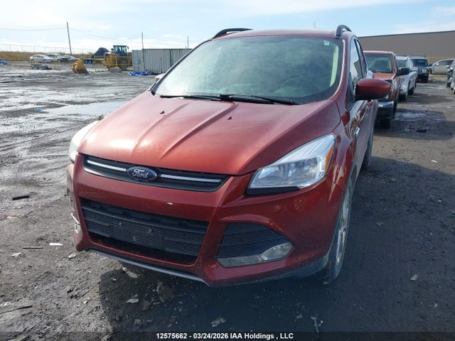 Продаж на аукціоні авто 2014 Ford Escape Se, vin: 1FMCU0GX0EUB82802, номер лоту: 12575662