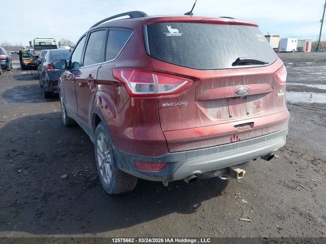 Продаж на аукціоні авто 2014 Ford Escape Se, vin: 1FMCU0GX0EUB82802, номер лоту: 12575662