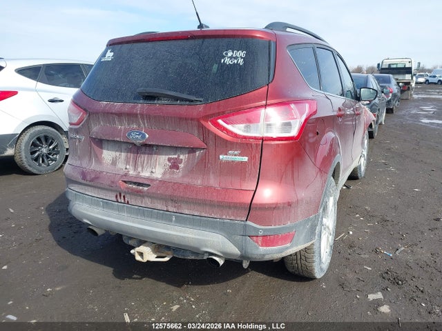Продаж на аукціоні авто 2014 Ford Escape Se, vin: 1FMCU0GX0EUB82802, номер лоту: 12575662