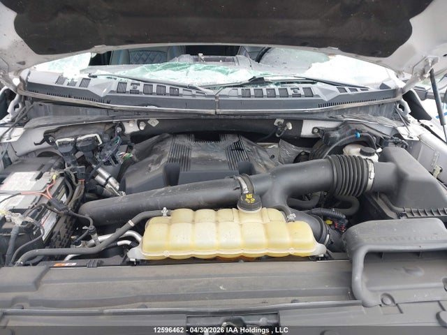 Продаж на аукціоні авто 2019 Ford F-150 Xlt, vin: 1FTFW1E45KFB29670, номер лоту: 12596462