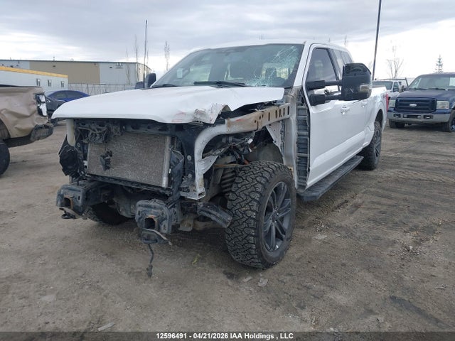 Auction sale of the 2022 Ford F-150 Xlt, vin: 1FTFW1E57NKE95599, lot number: 12596491