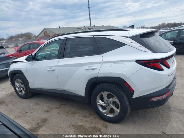 2023 Hyundai Tucson Sel მანქანა იყიდება აუქციონზე, vin: KM8JB3AE8PU213402, აუქციონის ნომერი: 12596508
