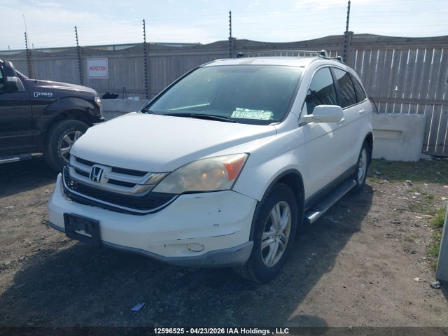 Продажа на аукционе авто 2010 Honda Cr-v Ex, vin: 5J6RE4H57AL820232, номер лота: 12596525