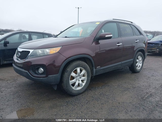 Продаж на аукціоні авто 2011 Kia Sorento Lx V6, vin: 5XYKTDA29BG061920, номер лоту: 12591791
