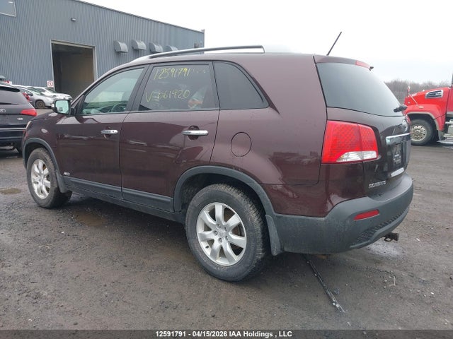 Продаж на аукціоні авто 2011 Kia Sorento Lx V6, vin: 5XYKTDA29BG061920, номер лоту: 12591791