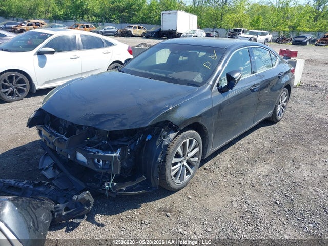 12596620 :رقم المزاد ، JTHB21B16K2043651 vin ، 2019 Lexus Es 300h 300h مزاد بيع