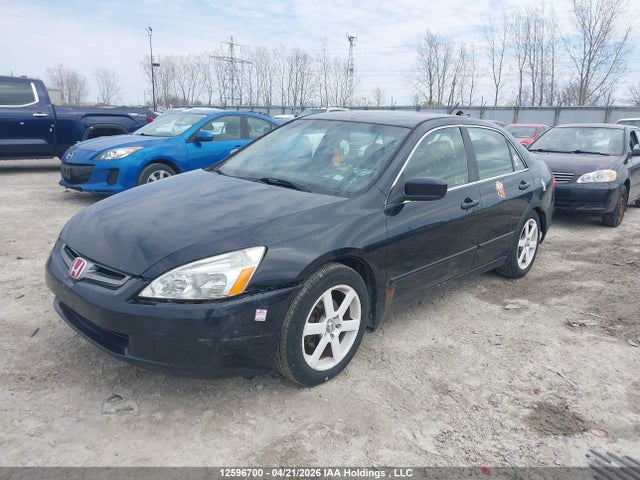 Продажа на аукционе авто 2005 Honda Accord, vin: JHMCN36445C800234, номер лота: 12596700
