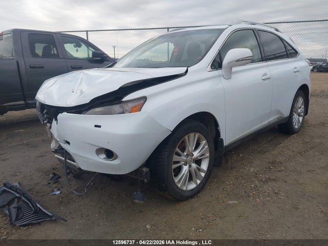 2010 Lexus Rx 450 მანქანა იყიდება აუქციონზე, vin: JTJBC1BAXA2013594, აუქციონის ნომერი: 12596737