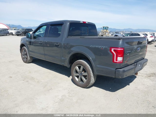 Продаж на аукціоні авто 2017 Ford F150 Supercrew, vin: 1FTEW1EG7HKD13983, номер лоту: 12596741