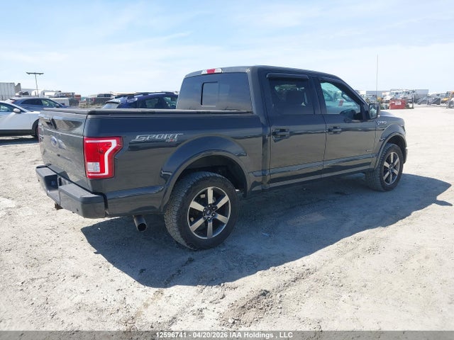 Продаж на аукціоні авто 2017 Ford F150 Supercrew, vin: 1FTEW1EG7HKD13983, номер лоту: 12596741