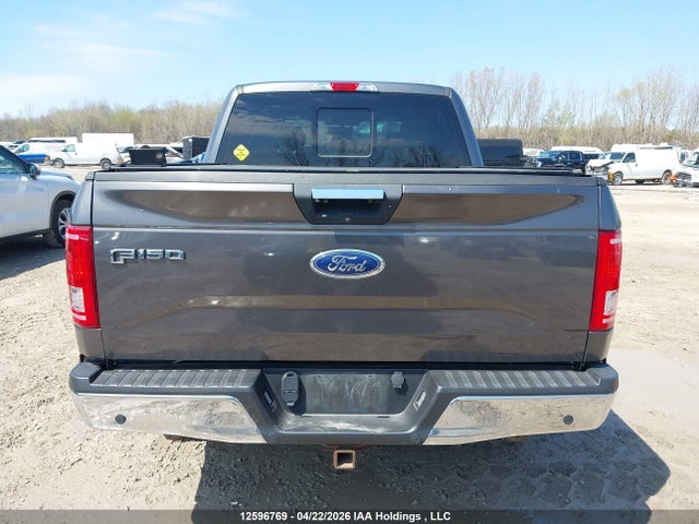 12596769 :رقم المزاد ، 1FTEW1EP6HFC24110 vin ، 2017 Ford F-150 مزاد بيع