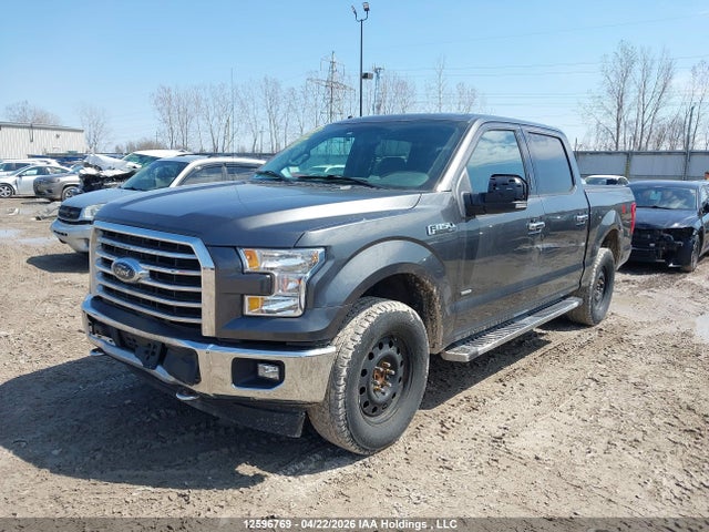 12596769 :رقم المزاد ، 1FTEW1EP6HFC24110 vin ، 2017 Ford F-150 مزاد بيع