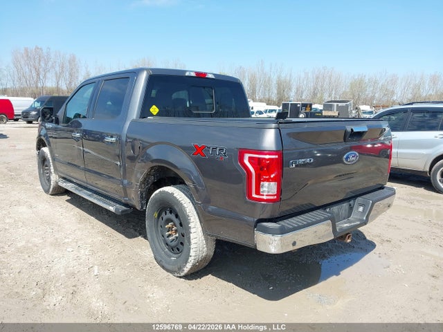 12596769 :رقم المزاد ، 1FTEW1EP6HFC24110 vin ، 2017 Ford F-150 مزاد بيع