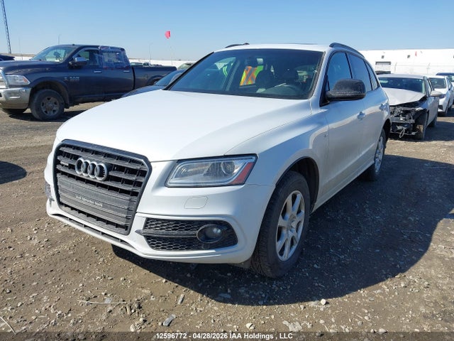 WA1M2AFP9GA110226 Audi Q5 Progressiv/s-line