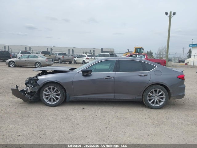 Продаж на аукціоні авто 2021 Acura Tlx, vin: 19UUB6F30MA801805, номер лоту: 12596800