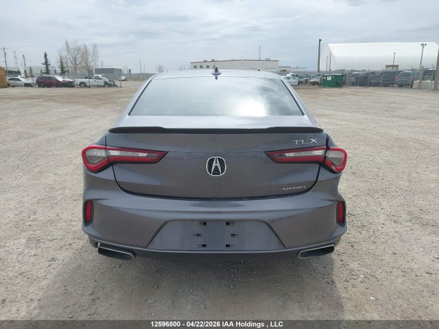 Продаж на аукціоні авто 2021 Acura Tlx, vin: 19UUB6F30MA801805, номер лоту: 12596800