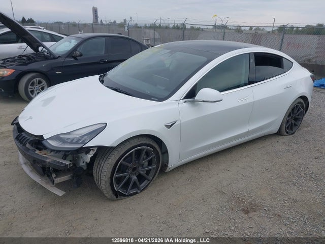 Auction sale of the 2019 Tesla Model 3 Long Range/mid Range/standard Range/standard Range Plus, vin: 5YJ3E1EA3KF515021, lot number: 12596818