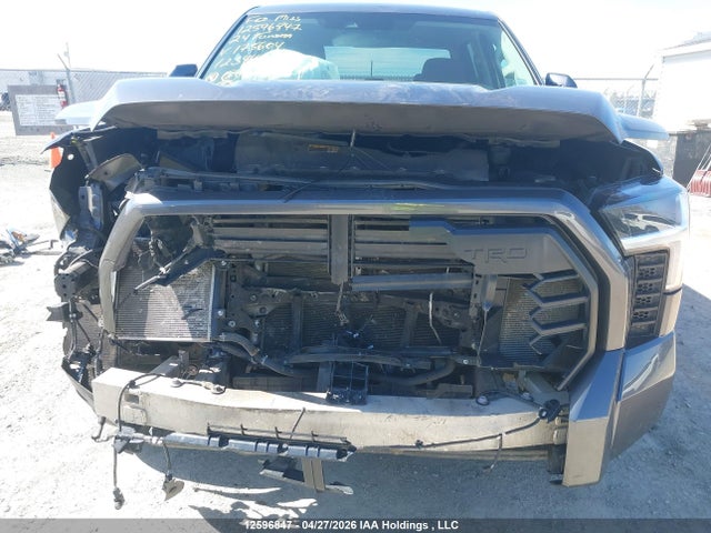 Продажа на аукционе авто 2024 Toyota Tundra Crewmax Sr/crewmax Sr5, vin: 5TFLA5DB6RX175604, номер лота: 12596847