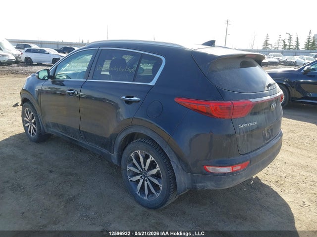 2017 Kia Sportage Ex/ex Premium/ex Tech მანქანა იყიდება აუქციონზე, vin: KNDPNCAC0H7129983, აუქციონის ნომერი: 12596932