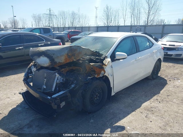 2T1BURHE3JC020784 Toyota COROLLA LE