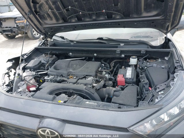 Aukcja sprzedaży 2019 Toyota Rav4 Le, vin: 2T3B1RFV2KW065363, numer aukcji: 12596968
