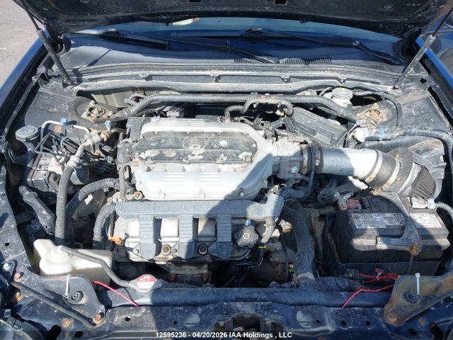 12595236 :رقم المزاد ، 19UUA96599A800889 vin ، 2009 Acura Tl مزاد بيع