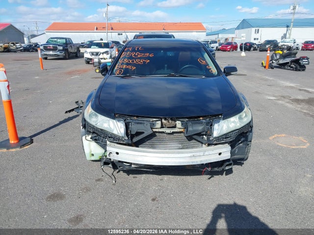 12595236 :رقم المزاد ، 19UUA96599A800889 vin ، 2009 Acura Tl مزاد بيع