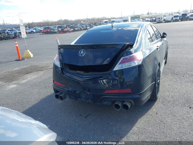 12595236 :رقم المزاد ، 19UUA96599A800889 vin ، 2009 Acura Tl مزاد بيع