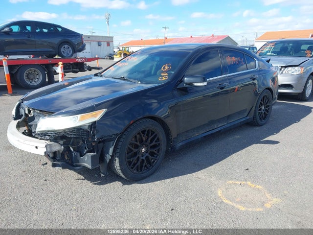 12595236 :رقم المزاد ، 19UUA96599A800889 vin ، 2009 Acura Tl مزاد بيع