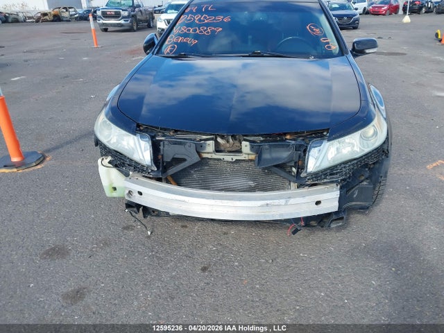 12595236 :رقم المزاد ، 19UUA96599A800889 vin ، 2009 Acura Tl مزاد بيع