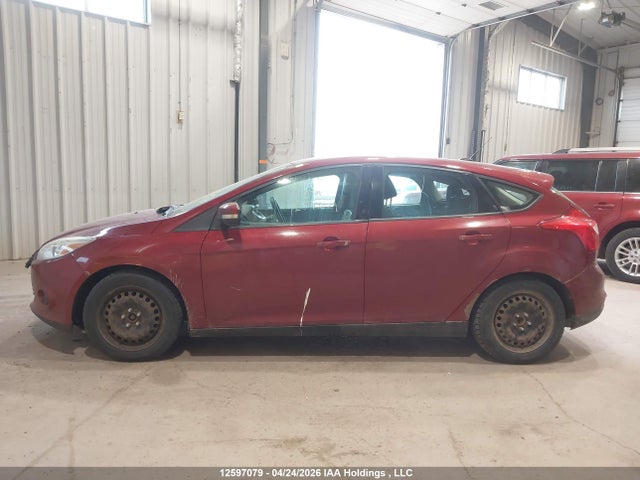 12597079 :رقم المزاد ، 1FADP3K29DL101495 vin ، 2013 Ford Focus Se مزاد بيع