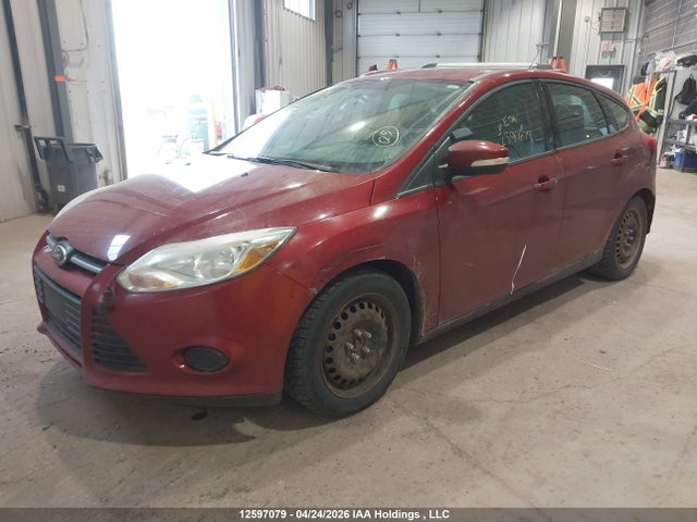 12597079 :رقم المزاد ، 1FADP3K29DL101495 vin ، 2013 Ford Focus Se مزاد بيع