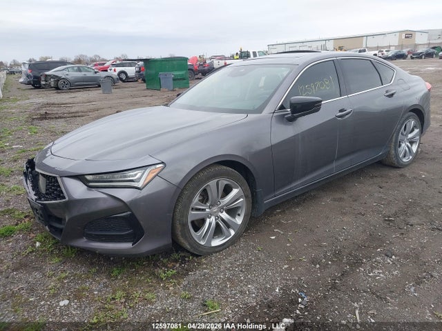 19UUB6F49MA801102 Acura Tlx Technology