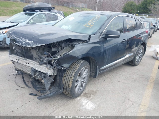 2019 Acura Rdx Elite მანქანა იყიდება აუქციონზე, vin: 5J8TC2H7XKL804875, აუქციონის ნომერი: 12597107