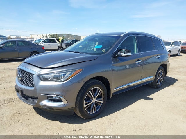 Продаж на аукціоні авто 2019 Infiniti Qx60 Luxe/pure, vin: 5N1DL0MM7KC511384, номер лоту: 12597157