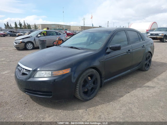 12597158 :رقم المزاد ، 19UUA66264A805223 vin ، 2004 Acura Tl مزاد بيع