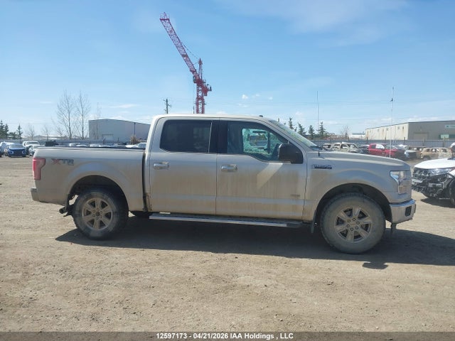 12597173 :رقم المزاد ، 1FTEW1EP7HKD99327 vin ، 2017 Ford F150 Supercrew مزاد بيع