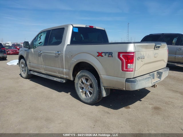 12597173 :رقم المزاد ، 1FTEW1EP7HKD99327 vin ، 2017 Ford F150 Supercrew مزاد بيع
