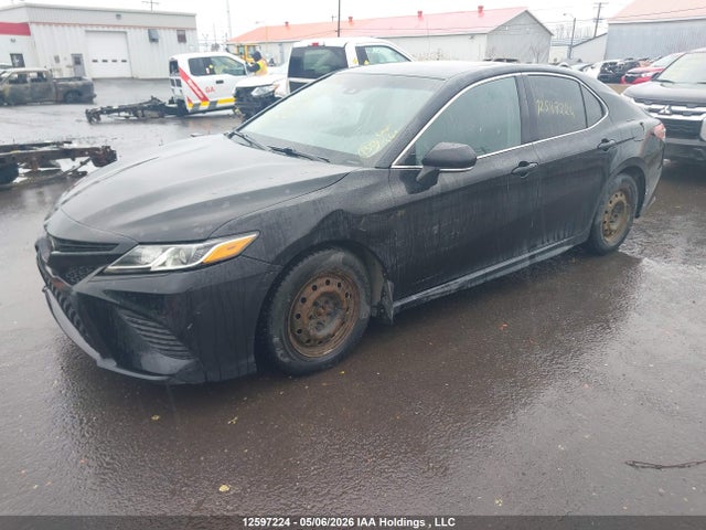 4T1B11HK3JU002770 Toyota Camry L/le/xle/se/xse