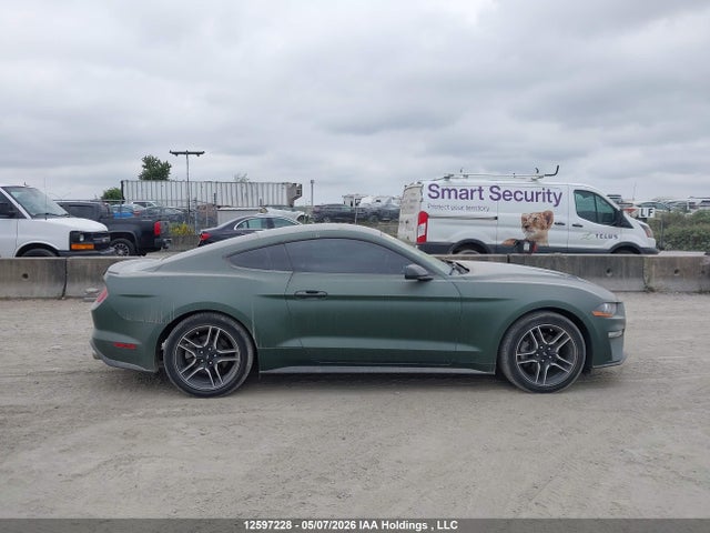 12597228 :رقم المزاد ، 1FA6P8TH5K5164491 vin ، 2019 Ford Mustang مزاد بيع