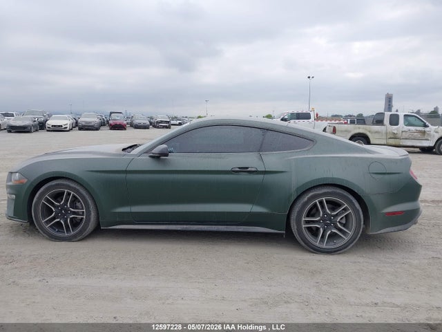 12597228 :رقم المزاد ، 1FA6P8TH5K5164491 vin ، 2019 Ford Mustang مزاد بيع