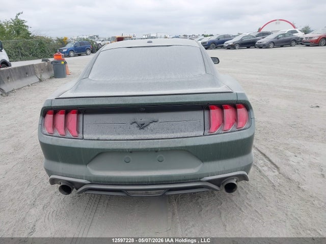 12597228 :رقم المزاد ، 1FA6P8TH5K5164491 vin ، 2019 Ford Mustang مزاد بيع
