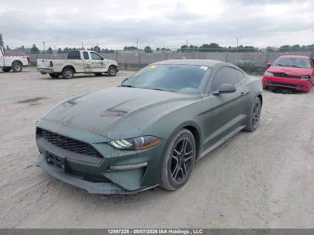 12597228 :رقم المزاد ، 1FA6P8TH5K5164491 vin ، 2019 Ford Mustang مزاد بيع