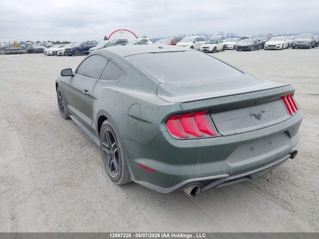 12597228 :رقم المزاد ، 1FA6P8TH5K5164491 vin ، 2019 Ford Mustang مزاد بيع